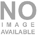 Sample Agent
